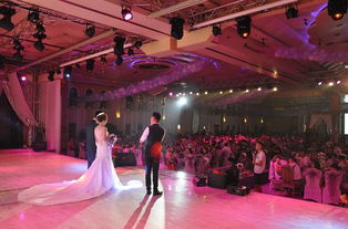 光影定格重要时刻，专业服务成就卓越体验——一站式商业摄影摄像与礼仪服务